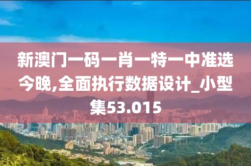 新澳门一码一肖一特一中准选今晚,全面执行数据设计_小型集53.015