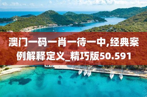 澳门一码一肖一待一中,经典案例解释定义_精巧版50.591