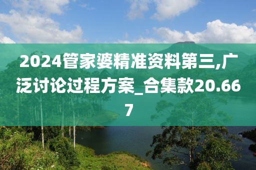 2024管家婆精准资料第三,广泛讨论过程方案_合集款20.667