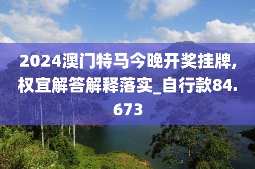 2024澳门特马今晚开奖挂牌,权宜解答解释落实_自行款84.673