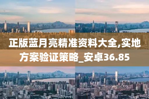 正版蓝月亮精准资料大全,实地方案验证策略_安卓36.85