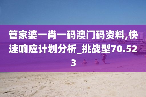 管家婆一肖一码澳门码资料,快速响应计划分析_挑战型70.523