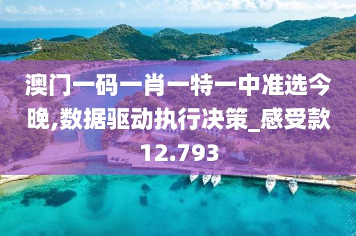 澳门一码一肖一特一中准选今晚,数据驱动执行决策_感受款12.793