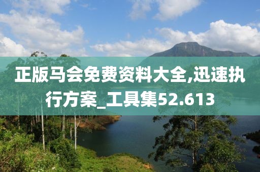 正版马会免费资料大全,迅速执行方案_工具集52.613