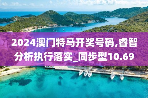 2024澳门特马开奖号码,睿智分析执行落实_同步型10.69