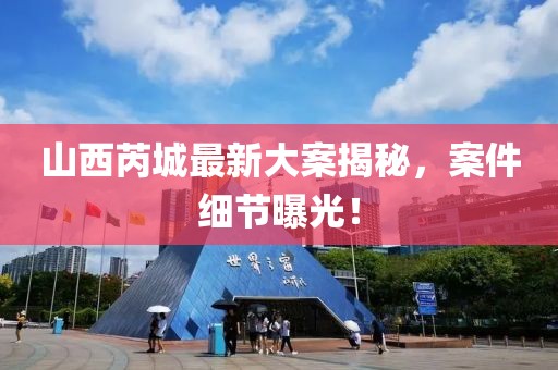 山西芮城最新大案揭秘，案件细节曝光！