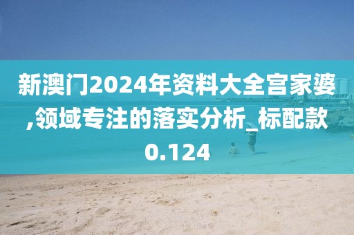 新澳门2024年资料大全宫家婆,领域专注的落实分析_标配款0.124