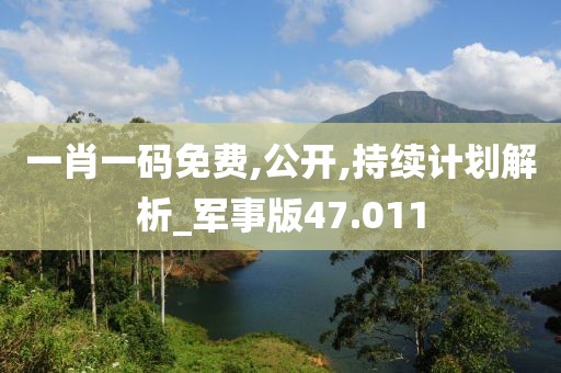 一肖一码免费,公开,持续计划解析_军事版47.011