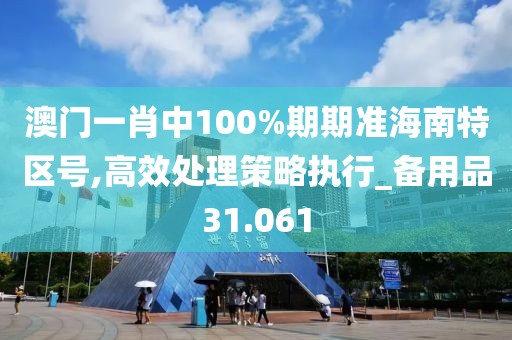 澳门一肖中100%期期准海南特区号,高效处理策略执行_备用品31.061