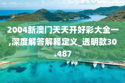 2004新澳门天天开好彩大全一,深度解答解释定义_透明款30.487
