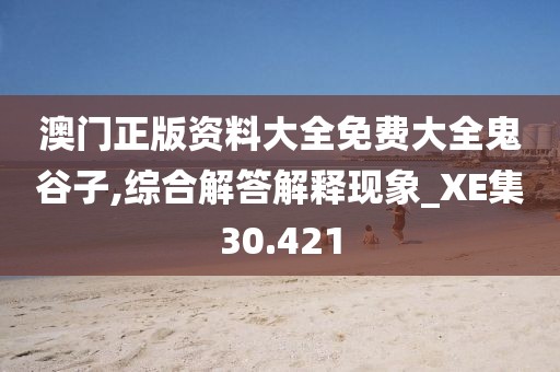 澳门正版资料大全免费大全鬼谷子,综合解答解释现象_XE集30.421