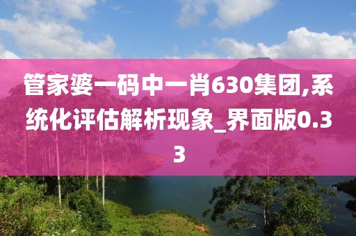 管家婆一码中一肖630集团,系统化评估解析现象_界面版0.33