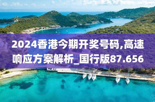 2024香港今期开奖号码,高速响应方案解析_国行版87.656