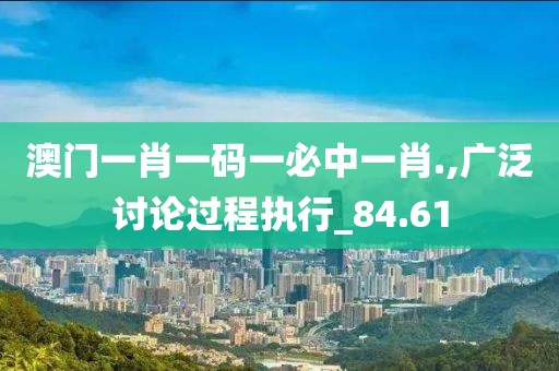 澳门一肖一码一必中一肖.,广泛讨论过程执行_84.61