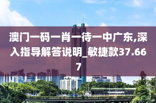 澳门一码一肖一待一中广东,深入指导解答说明_敏捷款37.667