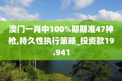 澳门一肖中100%期期准47神枪,持久性执行策略_投资款19.941