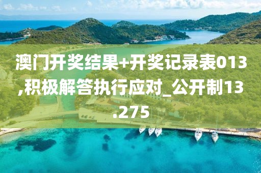 澳门开奖结果+开奖记录表013,积极解答执行应对_公开制13.275