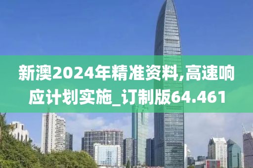 新澳2024年精准资料,高速响应计划实施_订制版64.461