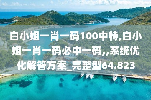 白小姐一肖一码100中特,白小姐一肖一码必中一码,,系统优化解答方案_完整型64.823