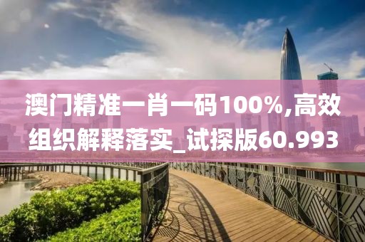 澳门精准一肖一码100%,高效组织解释落实_试探版60.993