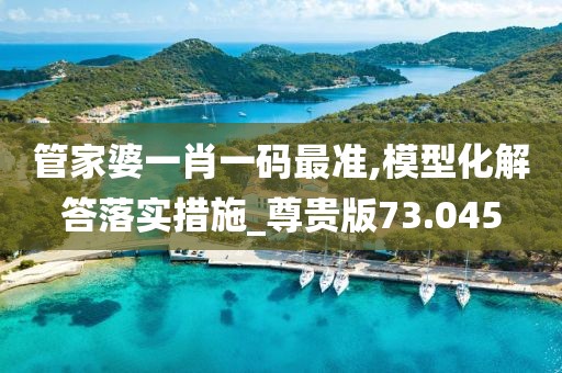 管家婆一肖一码最准,模型化解答落实措施_尊贵版73.045