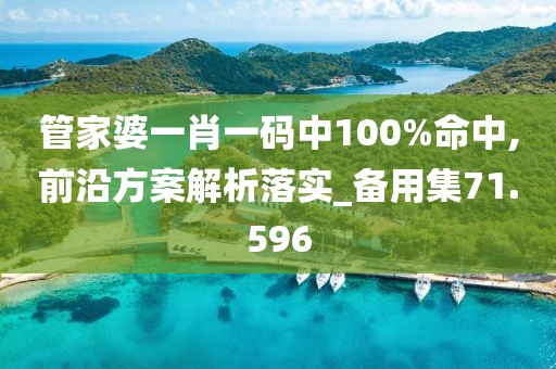 管家婆一肖一码中100%命中,前沿方案解析落实_备用集71.596