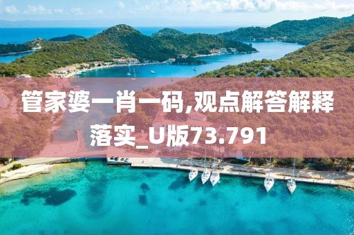 管家婆一肖一码,观点解答解释落实_U版73.791