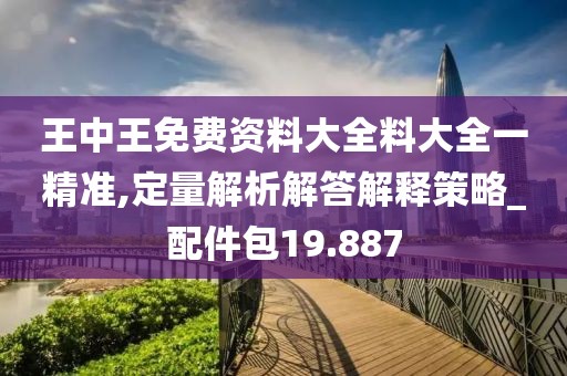 王中王免费资料大全料大全一精准,定量解析解答解释策略_配件包19.887