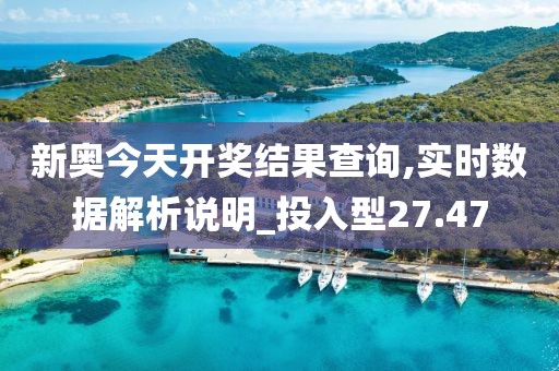 新奥今天开奖结果查询,实时数据解析说明_投入型27.47
