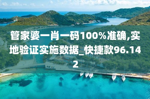 管家婆一肖一码100%准确,实地验证实施数据_快捷款96.142