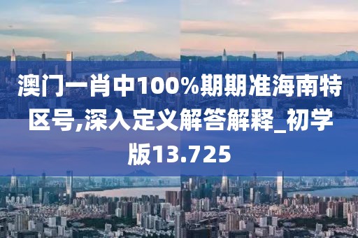 澳门一肖中100%期期准海南特区号,深入定义解答解释_初学版13.725