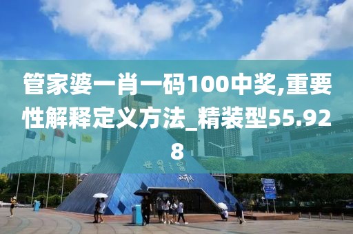 管家婆一肖一码100中奖,重要性解释定义方法_精装型55.928
