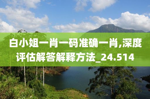 白小姐一肖一码准确一肖,深度评估解答解释方法_24.514