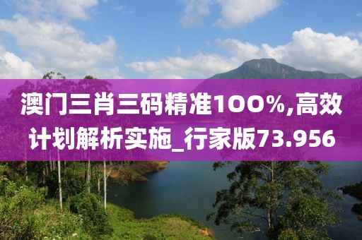 澳门三肖三码精准1OO%,高效计划解析实施_行家版73.956