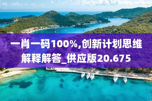一肖一码100%,创新计划思维解释解答_供应版20.675