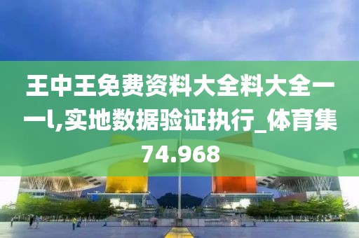 王中王免费资料大全料大全一一l,实地数据验证执行_体育集74.968