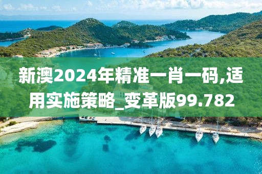 新澳2024年精准一肖一码,适用实施策略_变革版99.782