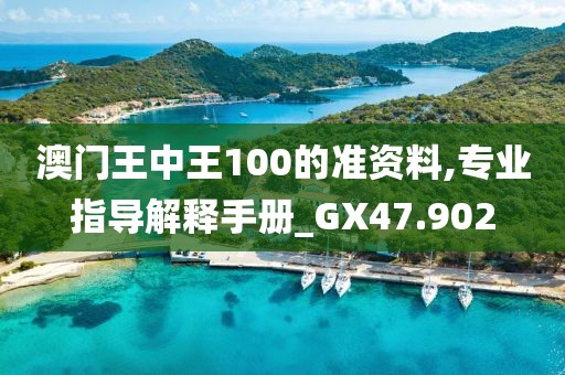 澳门王中王100的准资料,专业指导解释手册_GX47.902