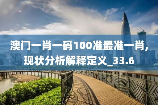澳门一肖一码100准最准一肖,现状分析解释定义_33.6