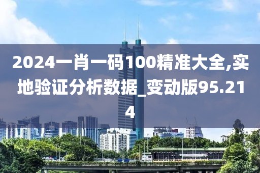 2024一肖一码100精准大全,实地验证分析数据_变动版95.214