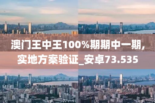澳门王中王100%期期中一期,实地方案验证_安卓73.535