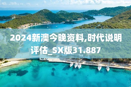 2024新澳今晚资料,时代说明评估_SX版31.887