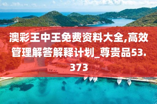 澳彩王中王免费资料大全,高效管理解答解释计划_尊贵品53.373