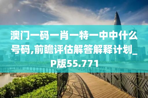 澳门一码一肖一特一中中什么号码,前瞻评估解答解释计划_P版55.771