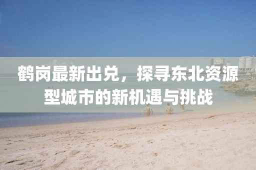 鹤岗最新出兑，探寻东北资源型城市的新机遇与挑战