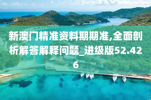 新澳门精准资料期期准,全面剖析解答解释问题_进级版52.426