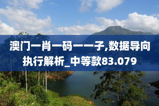 澳门一肖一码一一子,数据导向执行解析_中等款83.079