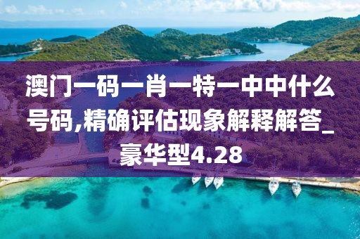 澳门一码一肖一特一中中什么号码,精确评估现象解释解答_豪华型4.28