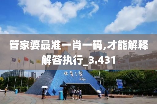 管家婆最准一肖一码,才能解释解答执行_3.431