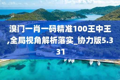 溴门一肖一码精准100王中王,全局视角解析落实_协力版5.331
